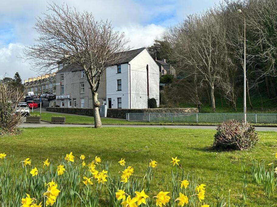 Villa Caernarfon Modern Townhouse Snowdonia Exterior foto